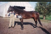 ���̿������÷��� (IONA��S PLEASURE) ����