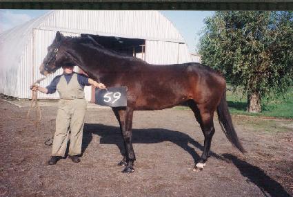 ���̿������÷��� ����