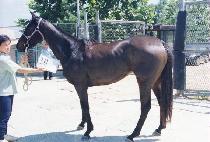 ĳ�Ƕ��� (CASHLA BAY) ����