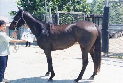 ĳ�Ƕ��� ����