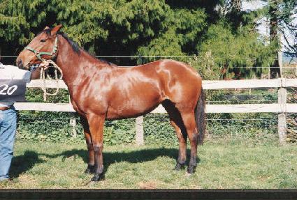 �ε����ũ ����