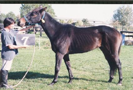 �����¸� ����