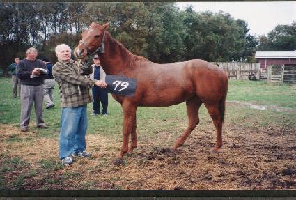 ũ����Ƽ�� ����