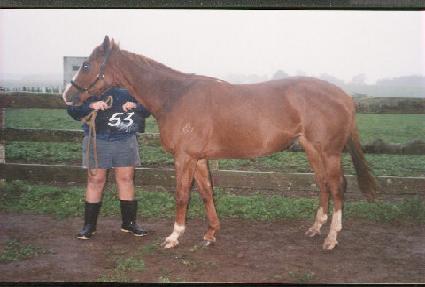 �並������ ����