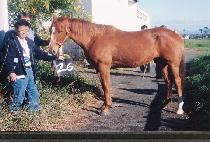 ��ȭ���� (SHINHWAT��ONG-IL) ����