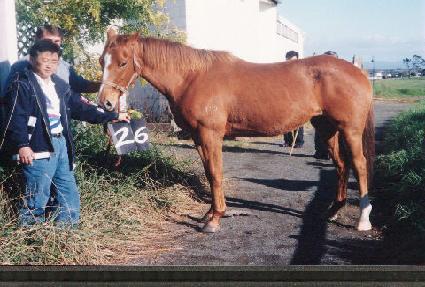 ��ȭ���� ����