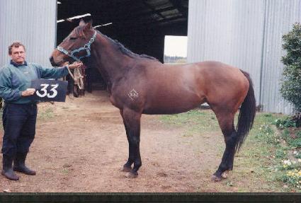 óŬ�� ����