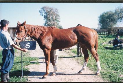 ü��Űġ�� ����