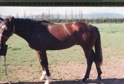 �׷��彽���� ����