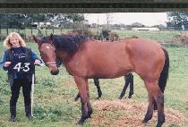 �ͷ�� (WARYONGSAN) ����