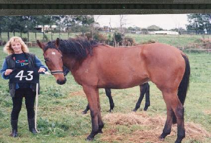 �ͷ�� ����