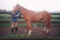 �ʽ� (P��ILSEUNG) ����