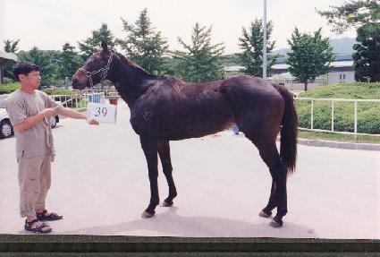 �ݵλ� ����