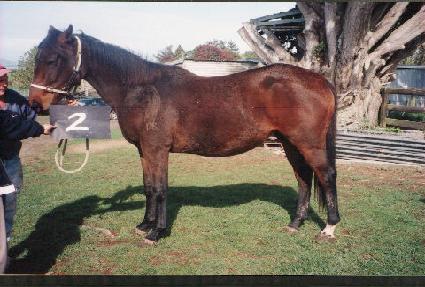 ���¼���ž ����