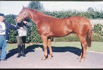 ������������ (ONEUREUNJOEUNNAL) ����