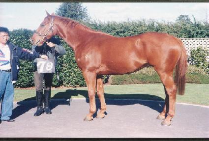 ������������ ����