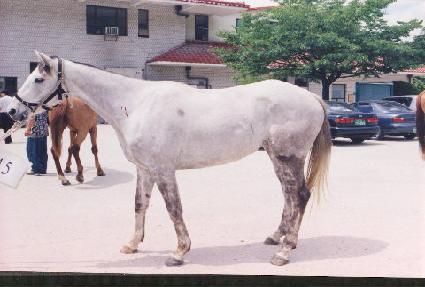 �������� ����