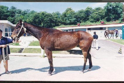 �Ͽ��� ����