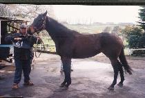 �̱ۺ��� (SHINGGEULBEONGGEUL) ����