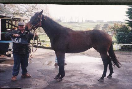 �̱ۺ��� ����