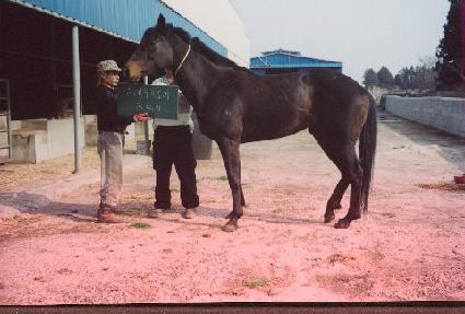 Ŭ���ĺ��丮 ����