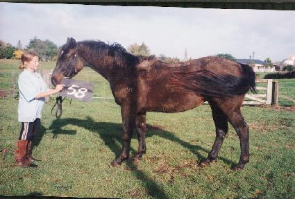 ����� ����