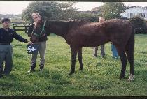 �Ƹ� (AREUM) ����