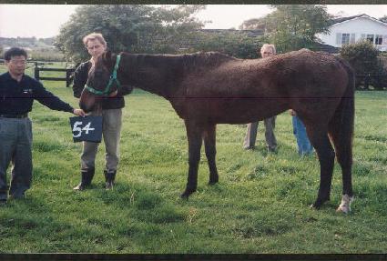 �Ƹ� ����