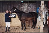 ���׷� (SAENGGEURE) ����