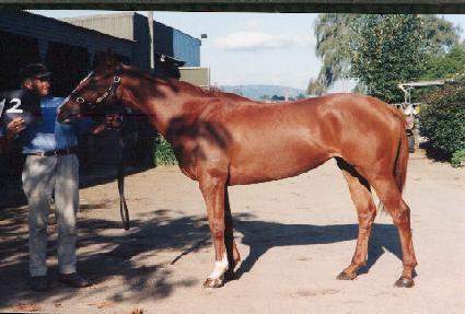 ���������̽� ����