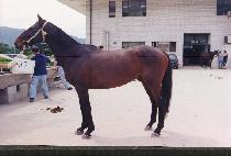 ����⵿ (KIN-GEUPCH��ULDONG) ����