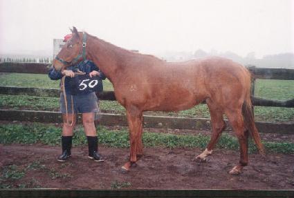 �����þƺ� ����