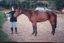 �����Ǹ� (PULGEUNANGMA) ����