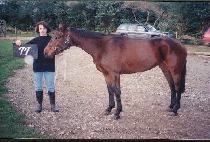 �����Ǹ� ����