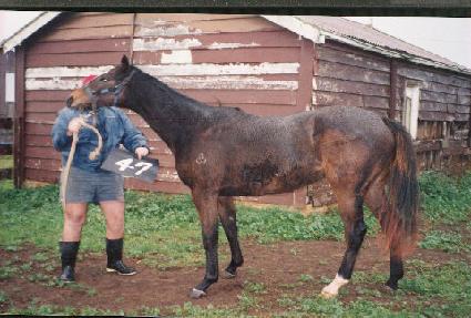 ���ϼ� ����