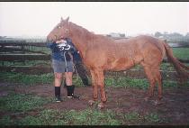 ���� (YANGHEON) ����