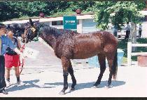 ������ (HYEONSUNE) ����