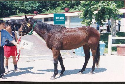 ������ ����