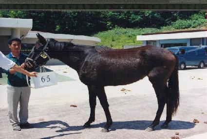 ���߹� ����