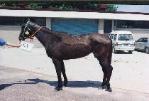 ū�� (K��EUNTTEUT) ����