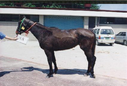 ū�� ����