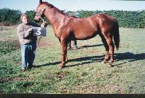 ������ (YUMYEONGHAN) ����