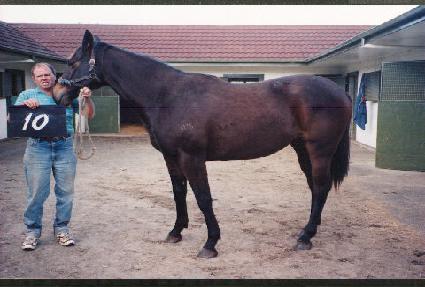 ����� ����