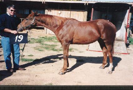 ����õ�� ����