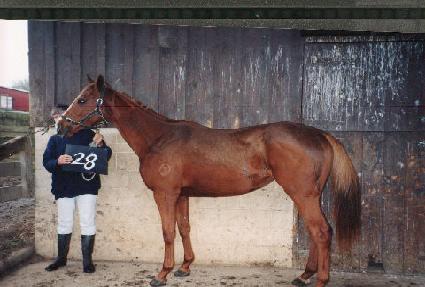 ����������� ����