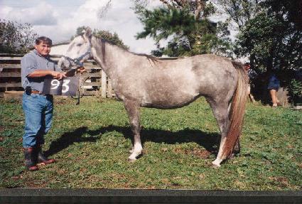 �Ͼ����� ����