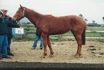 ����Ŭ��Ʈ (CYCLE HITS) ����