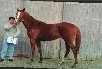 �巹��ƾ��� ����