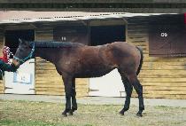 ����븮 (HIDDEN VALLEY) ����