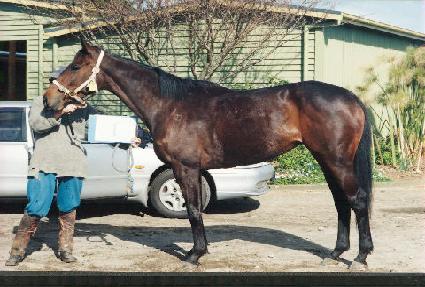 ���̿����� ����